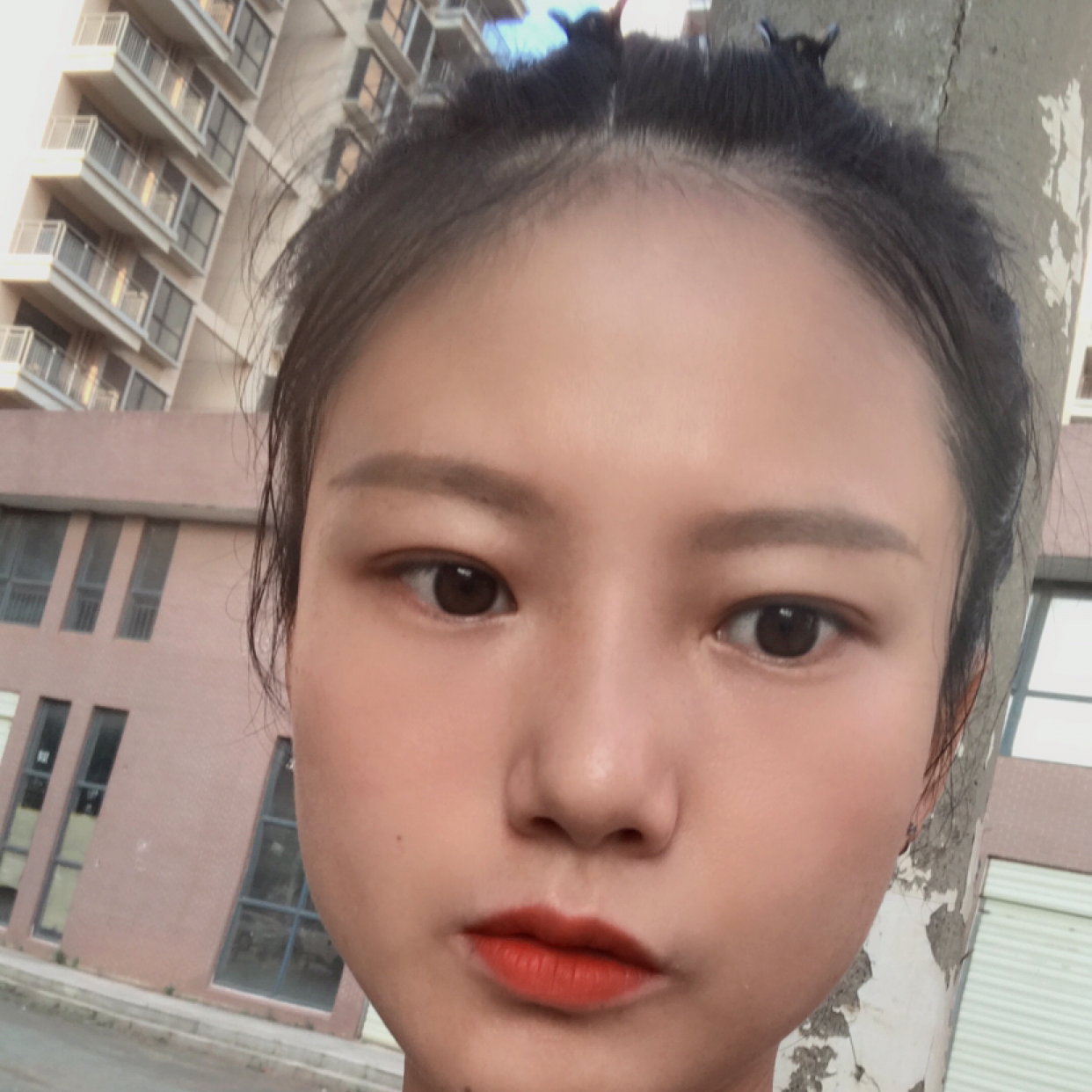 黄蜂淡定的照片