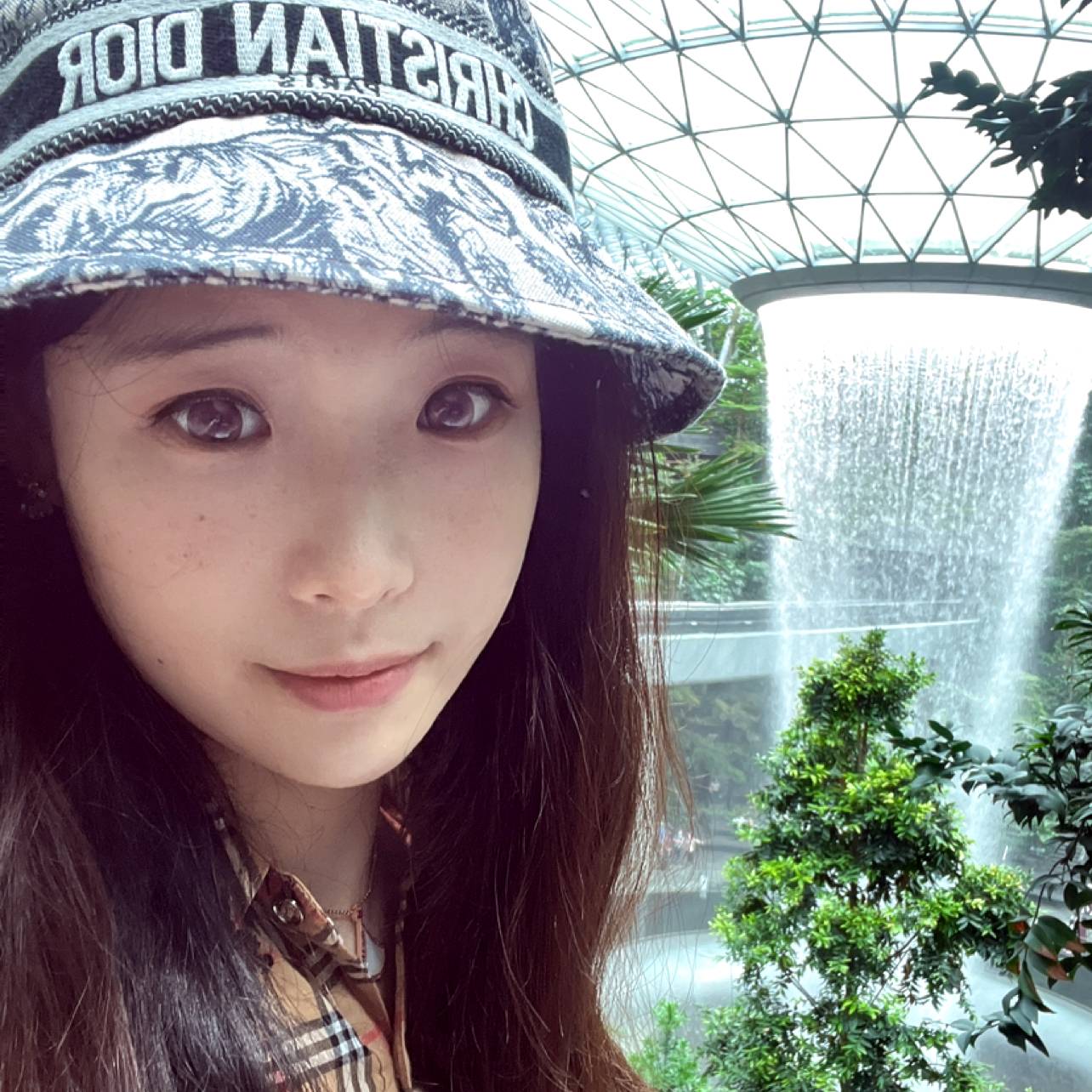 整齐的小白菜的照片