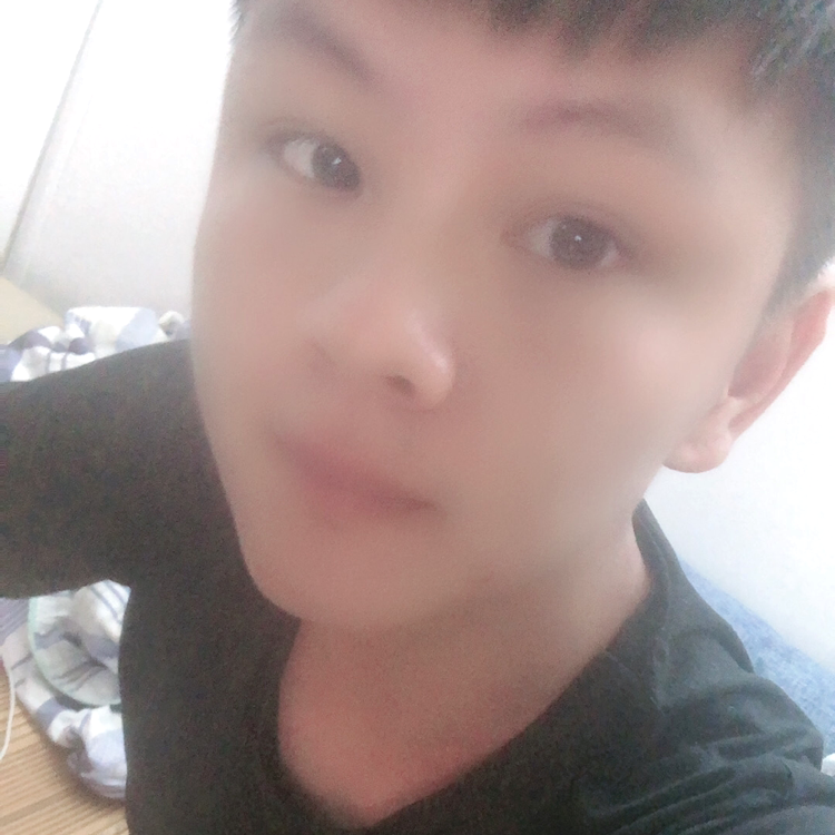 七猫的照片