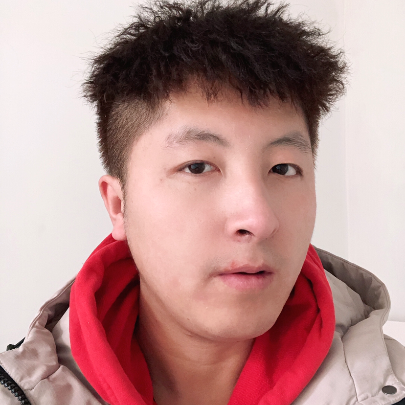 追寻太阳1的照片