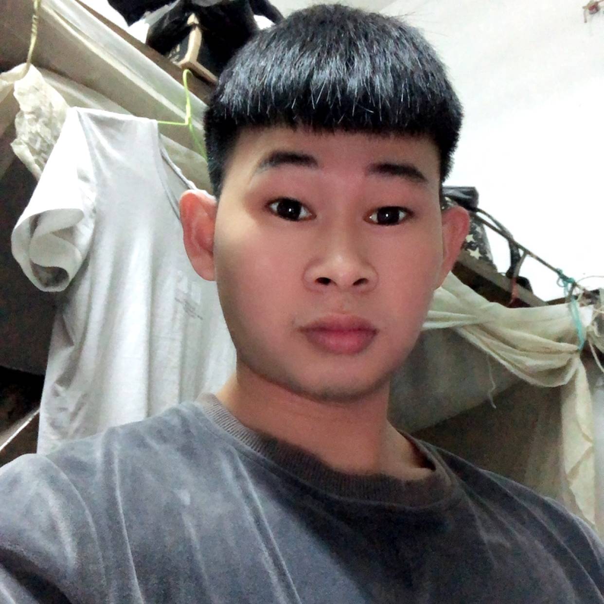 美好扯大象的照片