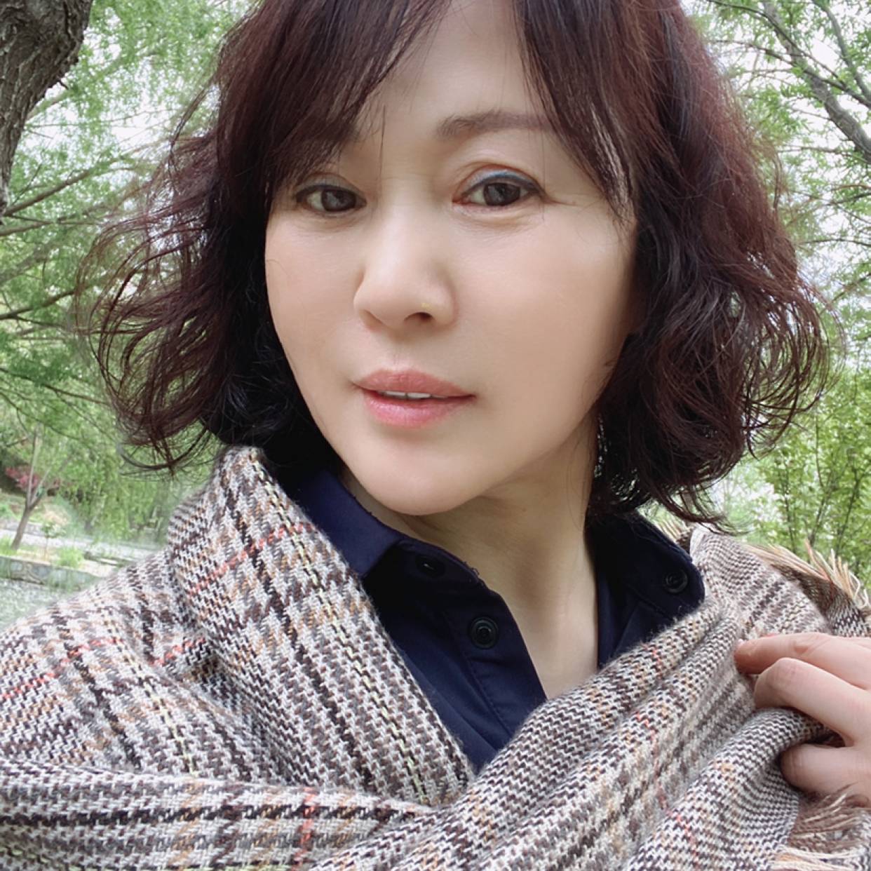 柠檬与风趣的照片