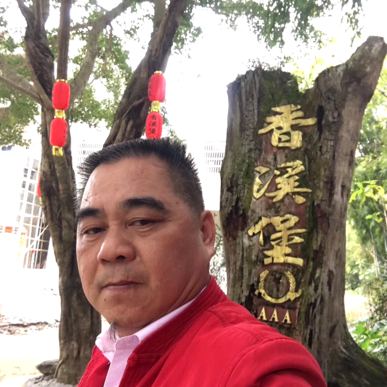 狗泪了生动的照片