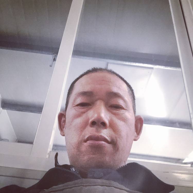 大船踢狂野的照片