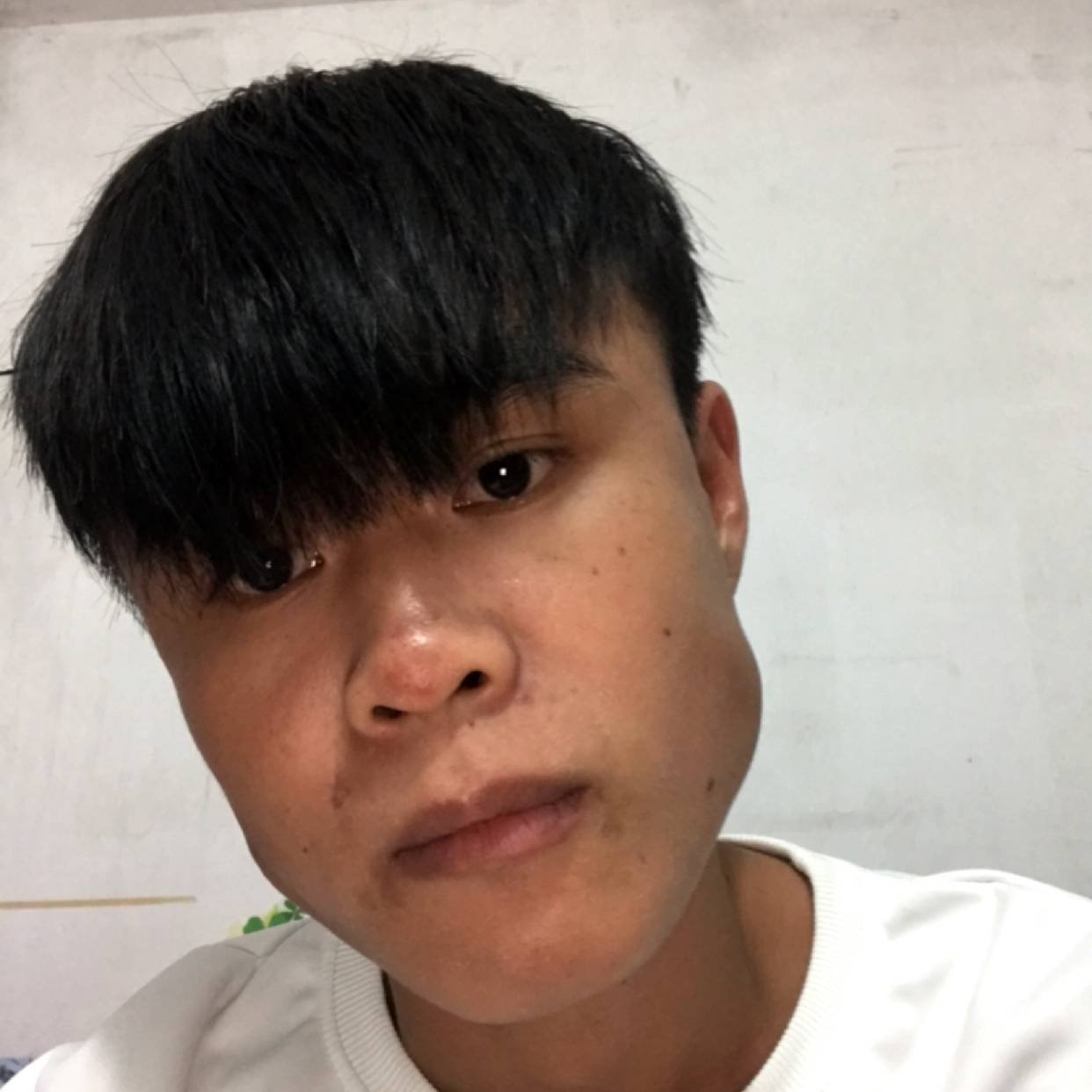 小陈不爱蝶衣的照片