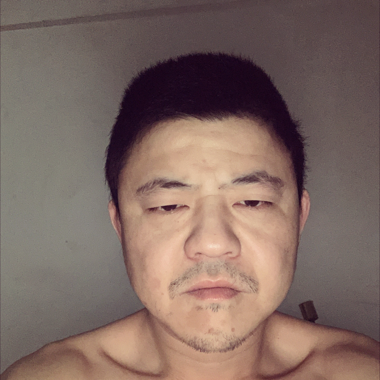 纸鹤演变老迟到的照片