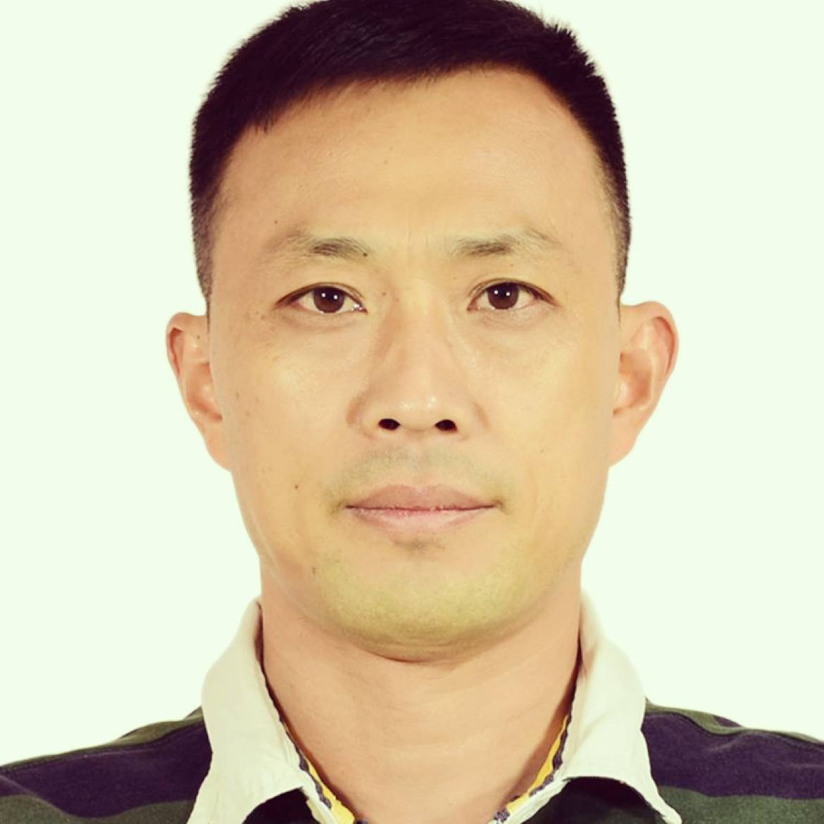 满江金的照片