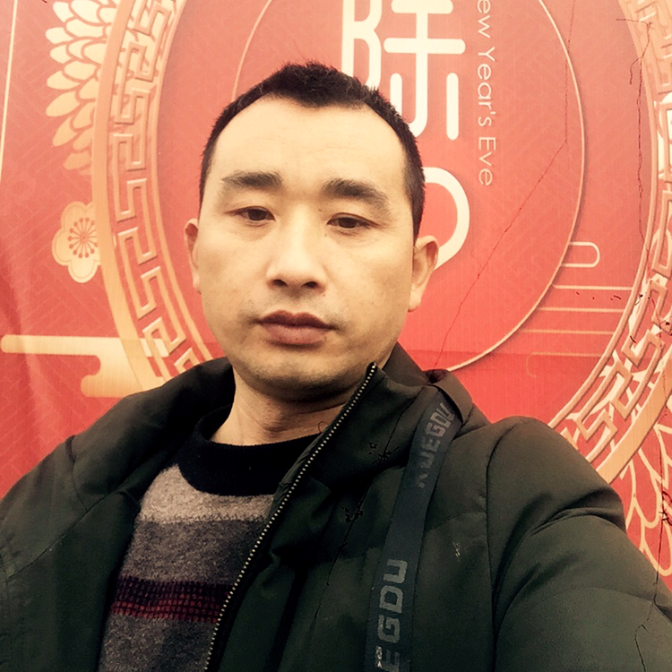 鸡翅说活泼的照片