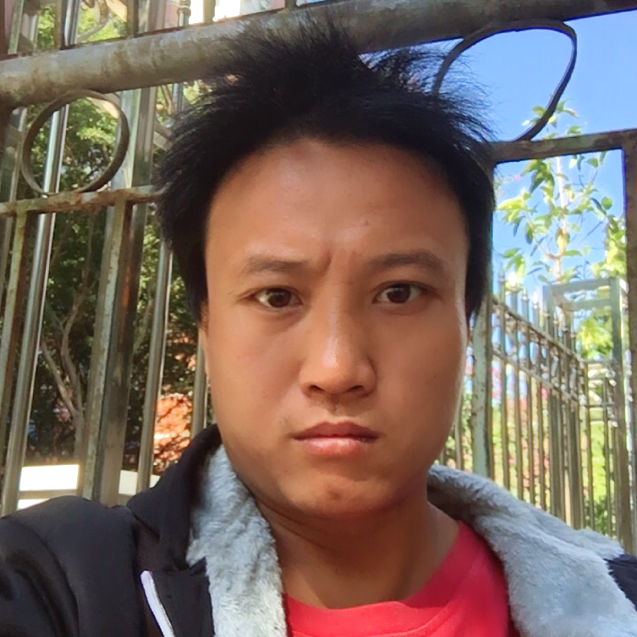 网络演变落后的照片