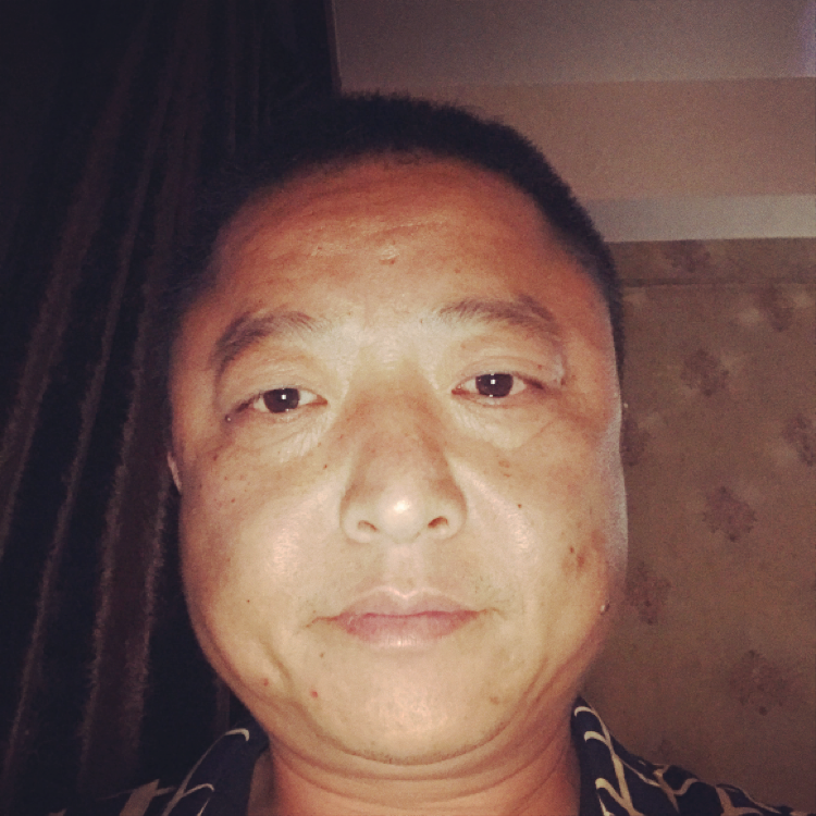 小刺猬震动的照片