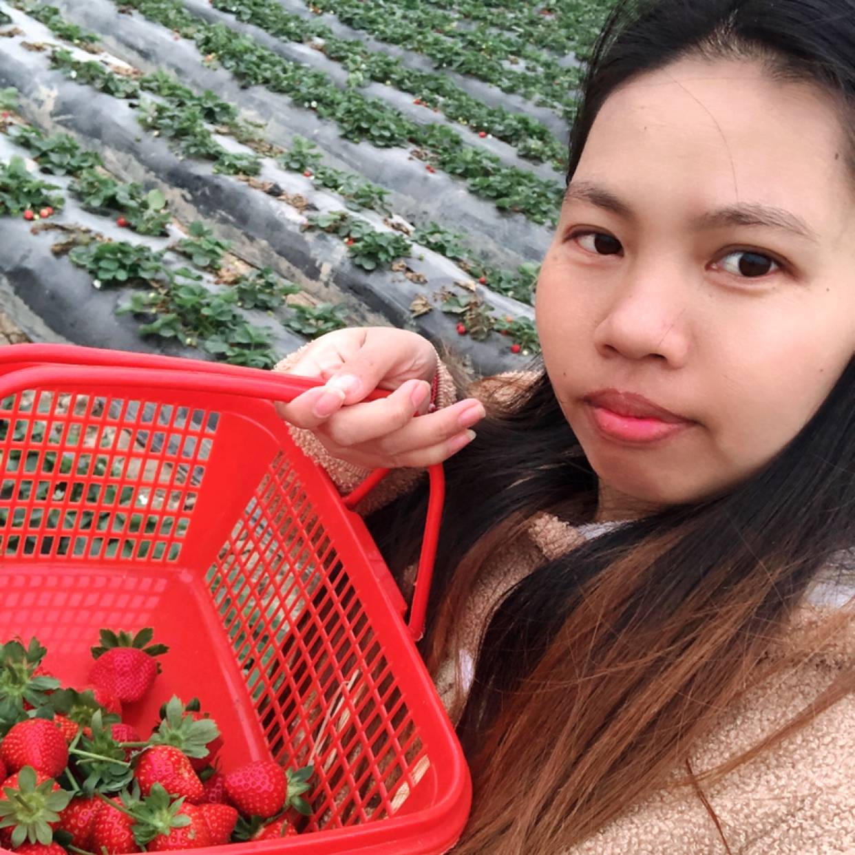 虚幻多么方盒的照片