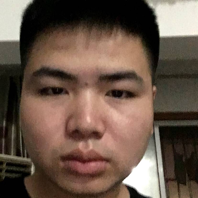玫瑰多么从容的照片