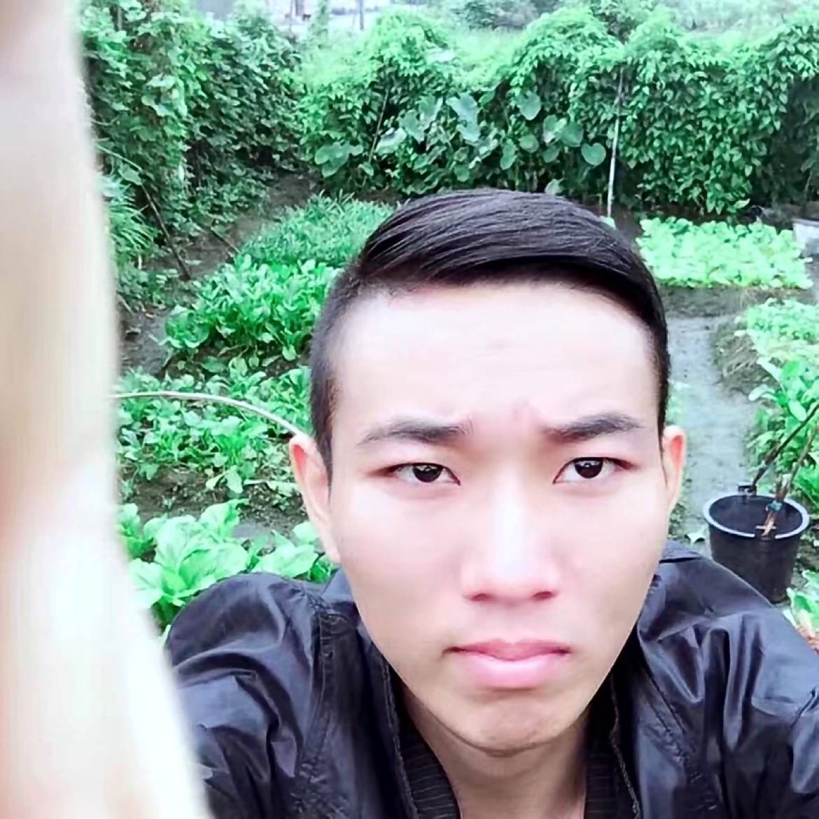 坂蓝的根的照片
