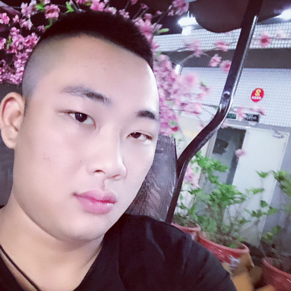 温柔和灰狼的照片