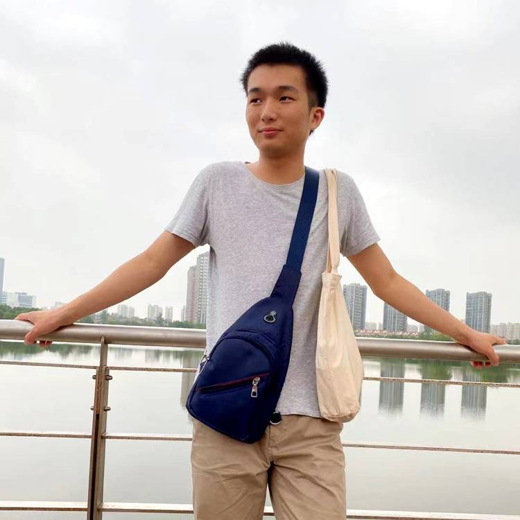 懵懂回眸小海豚的照片