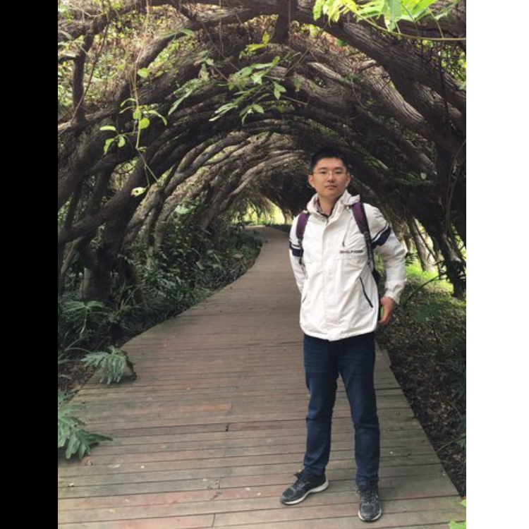 沙漠之鹰20的照片