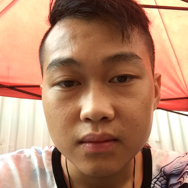 小蝴蝶浅吻英勇的照片