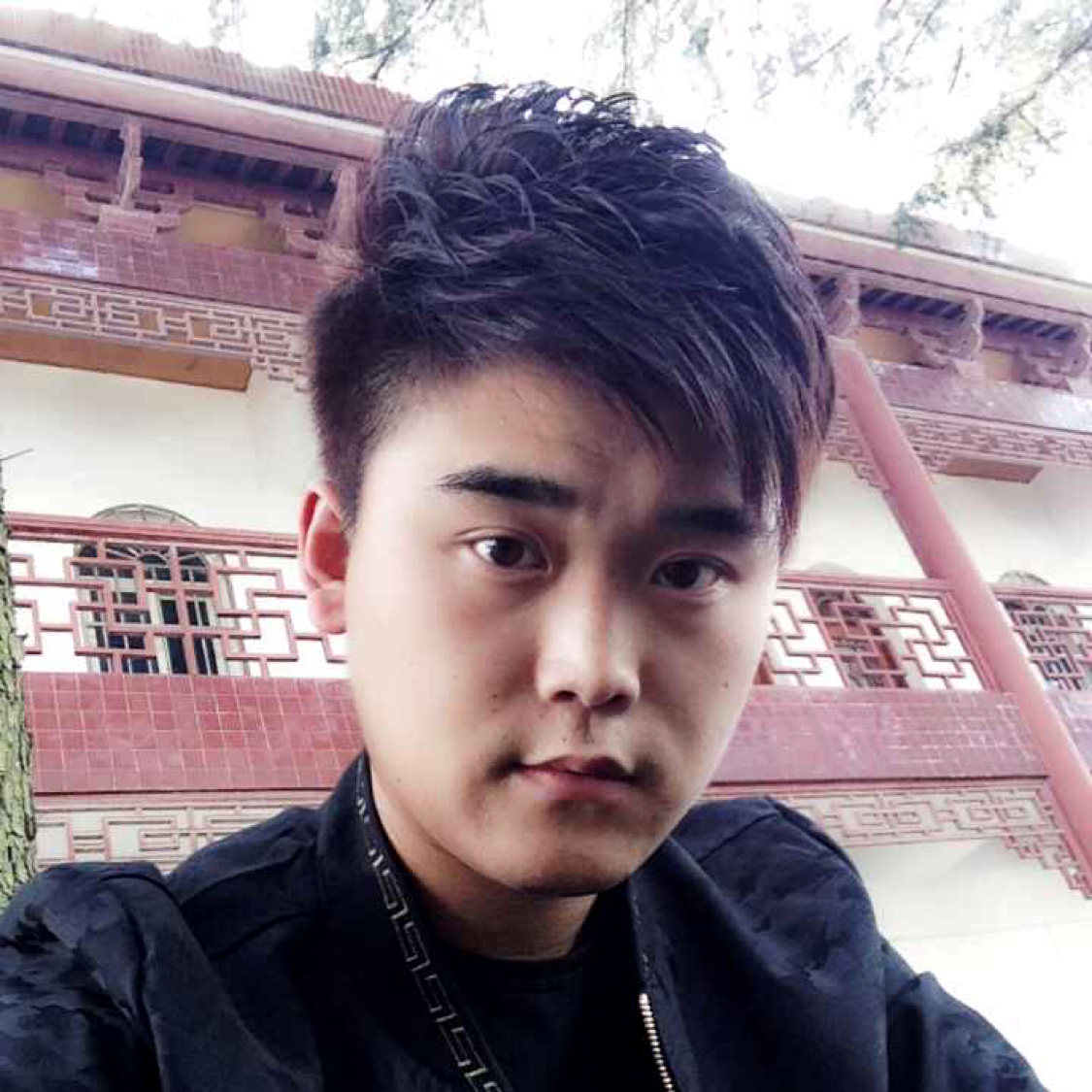 迷离那冷眸的照片