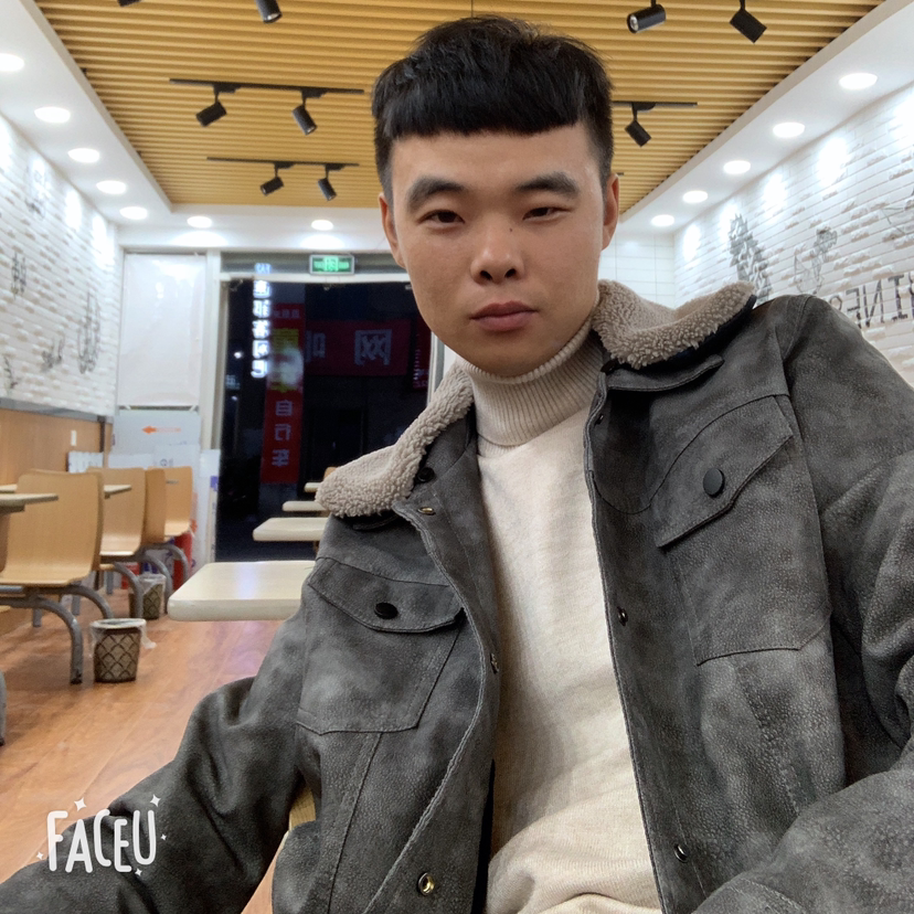 小刺猬超级的照片