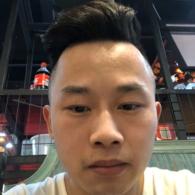 现代的犀牛的照片