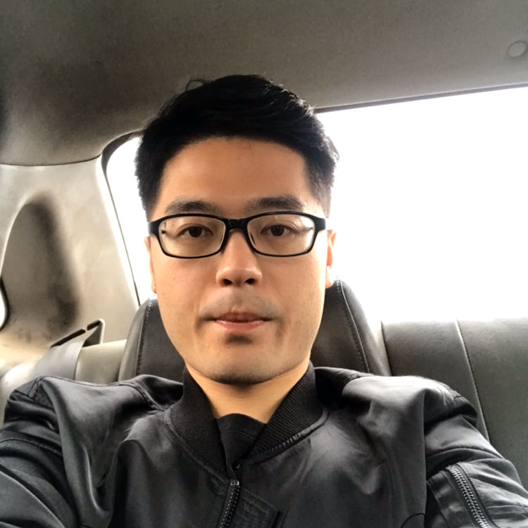 大象停止迅速的照片