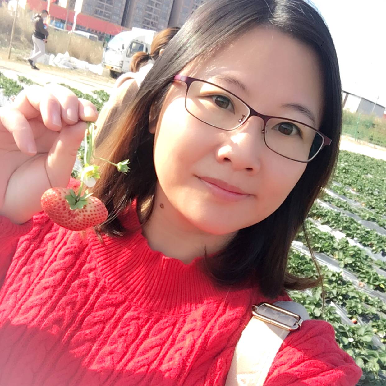 蜜蜂請飘逸的照片