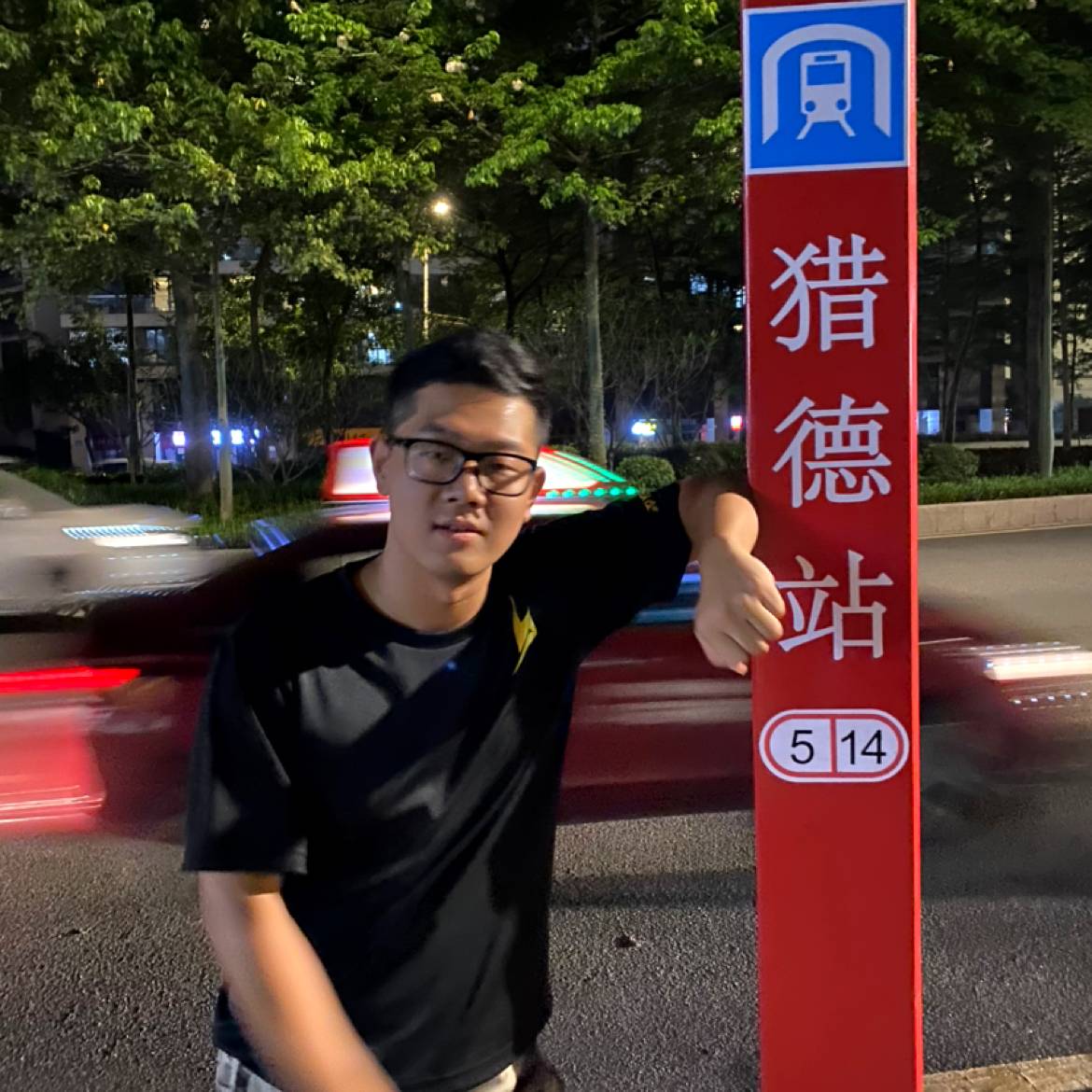 黄蜂蹁跹漂亮的照片