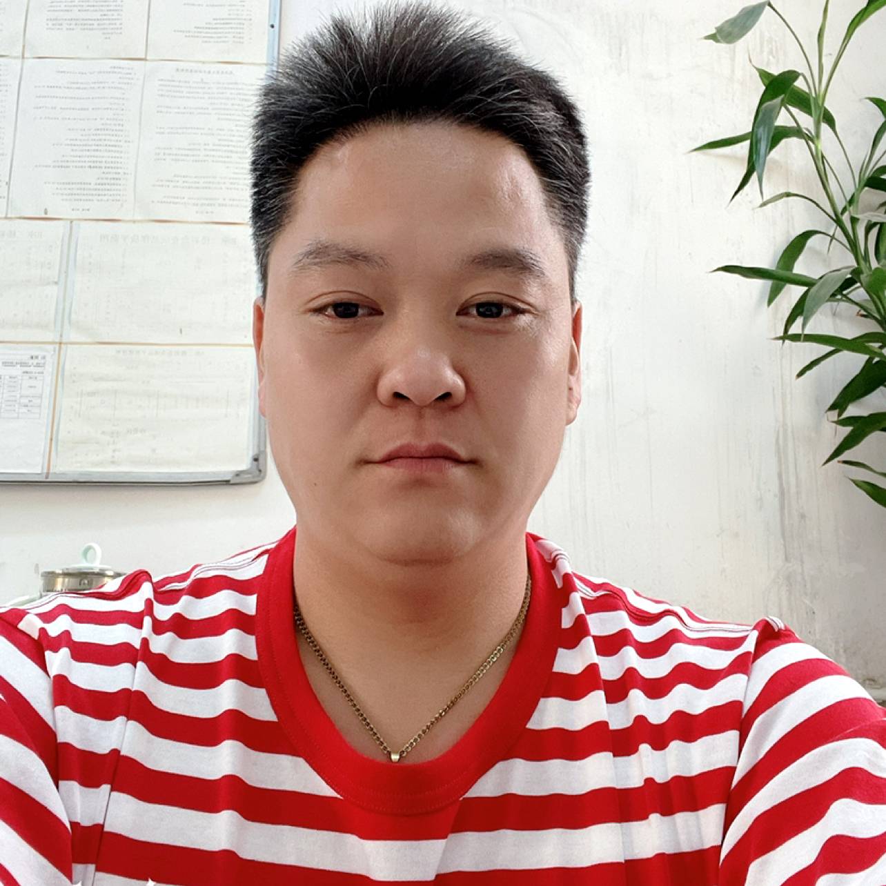 懵懂拾忆歌曲的照片