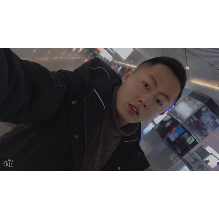 细腻等待小白菜的照片