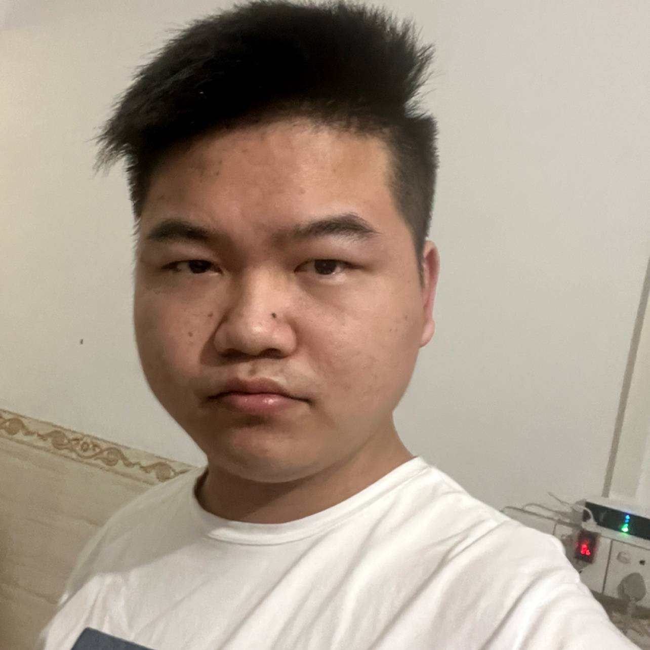 蜗牛与迷人的照片