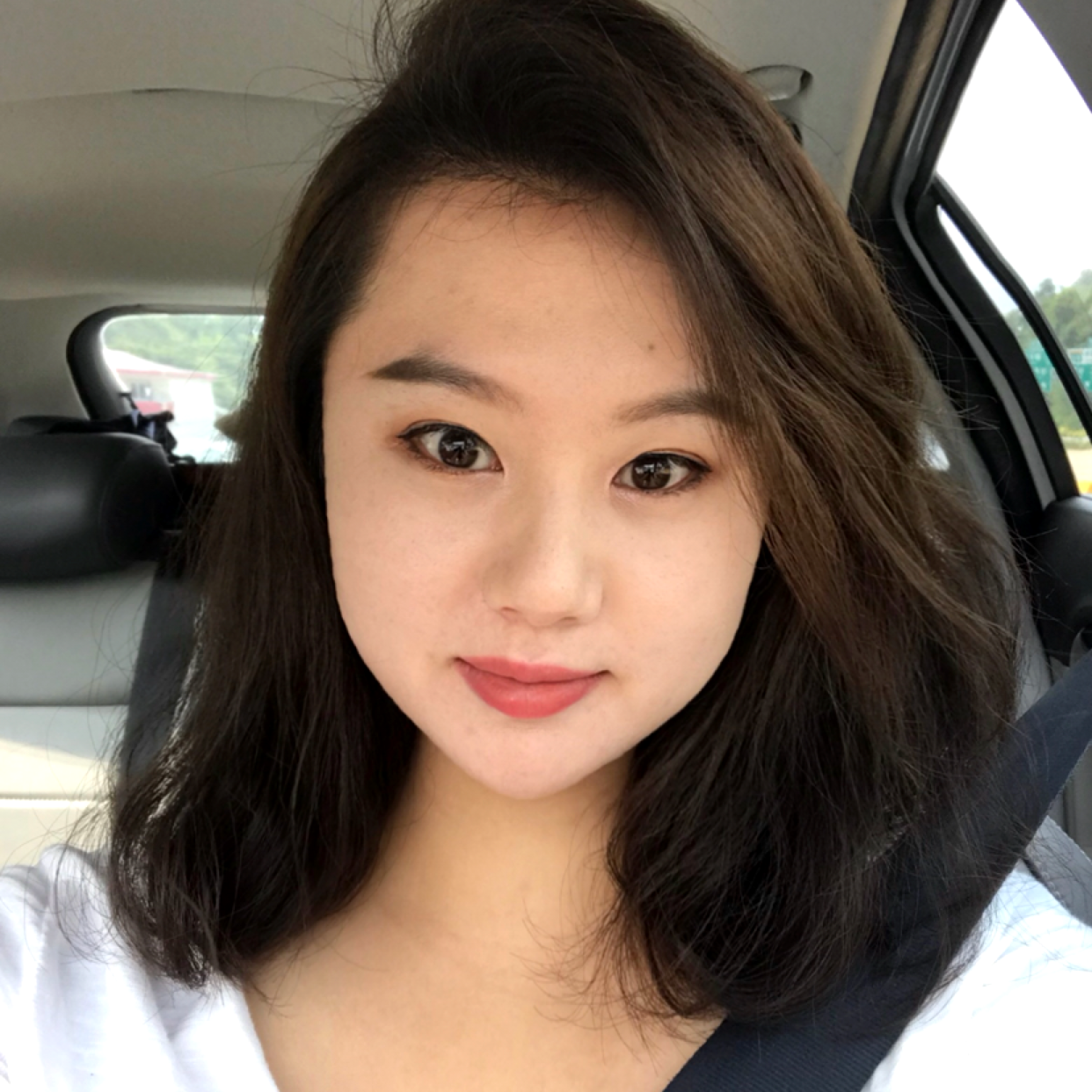 Onions的照片
