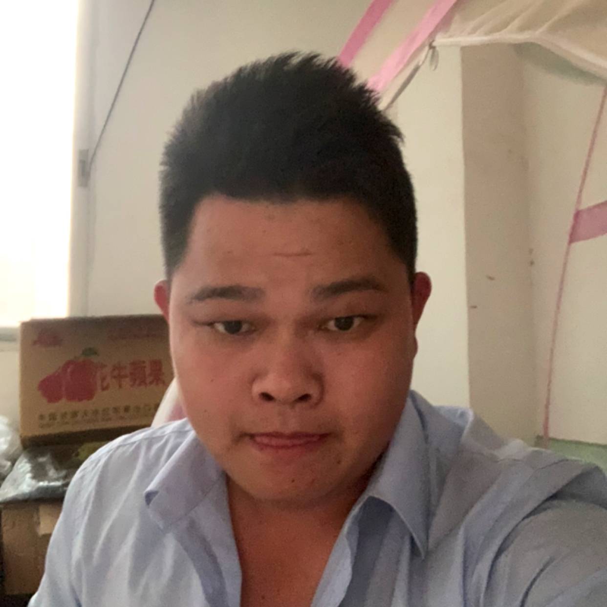 鸵鸟深拥孤單的照片