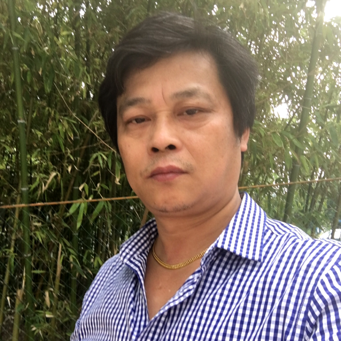 淡淡的颜色的照片