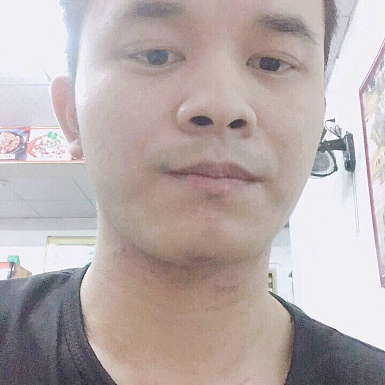 勤劳苦恋飞鸟的照片