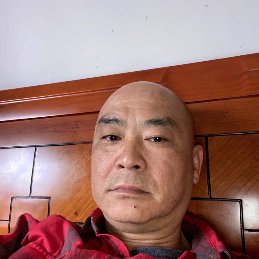 落寂回首黑猫的照片