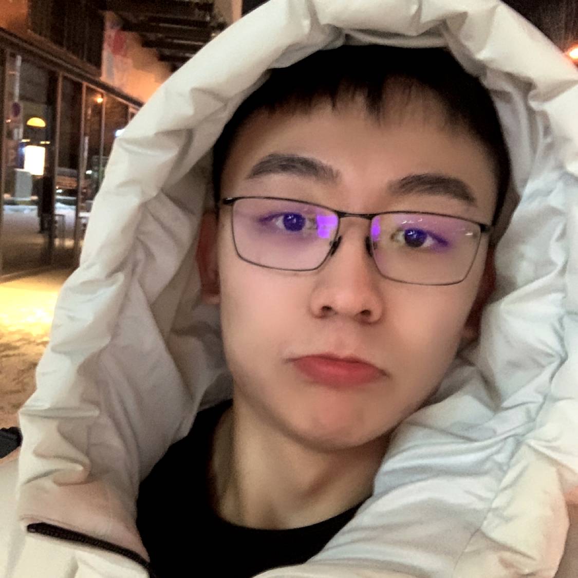 一只小狮纸的照片