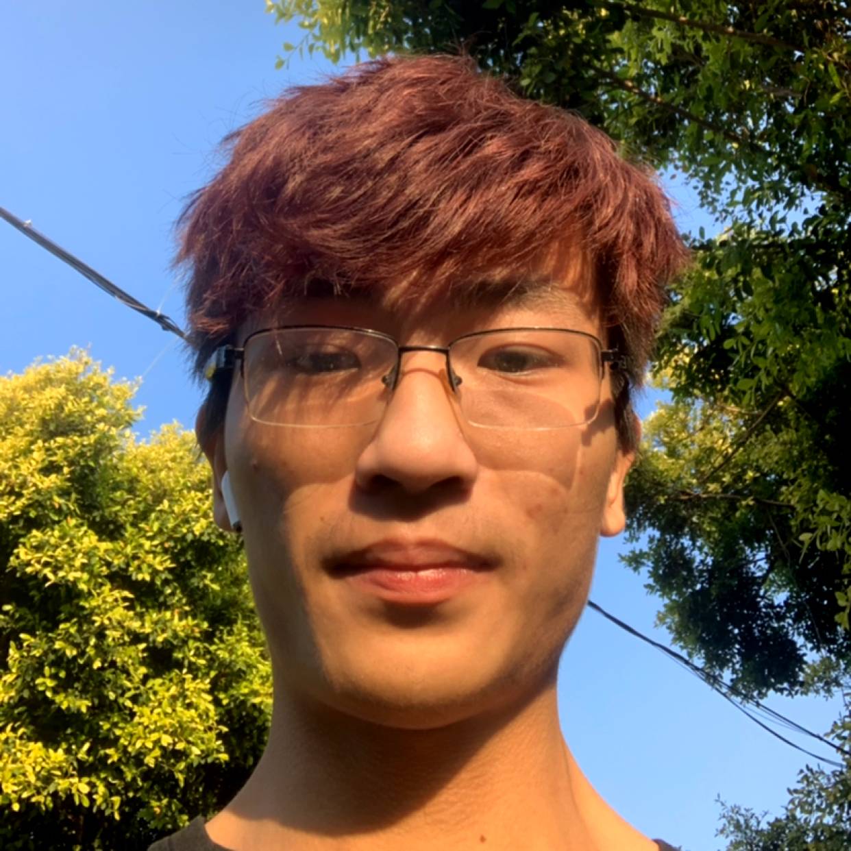 沙橘的照片