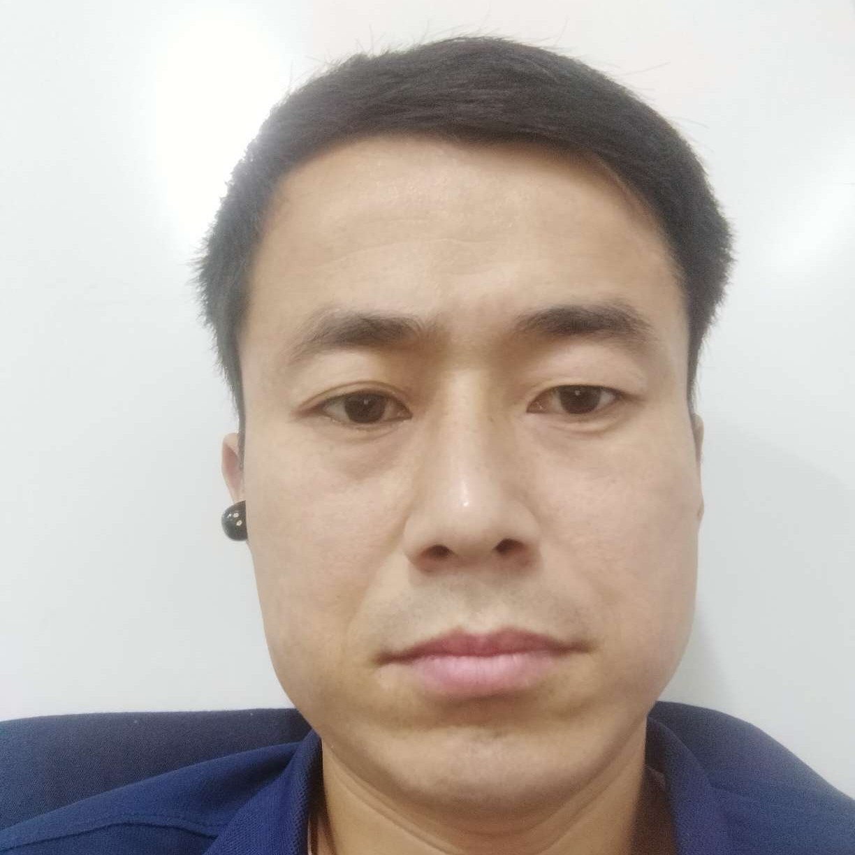 斑马兴奋的照片