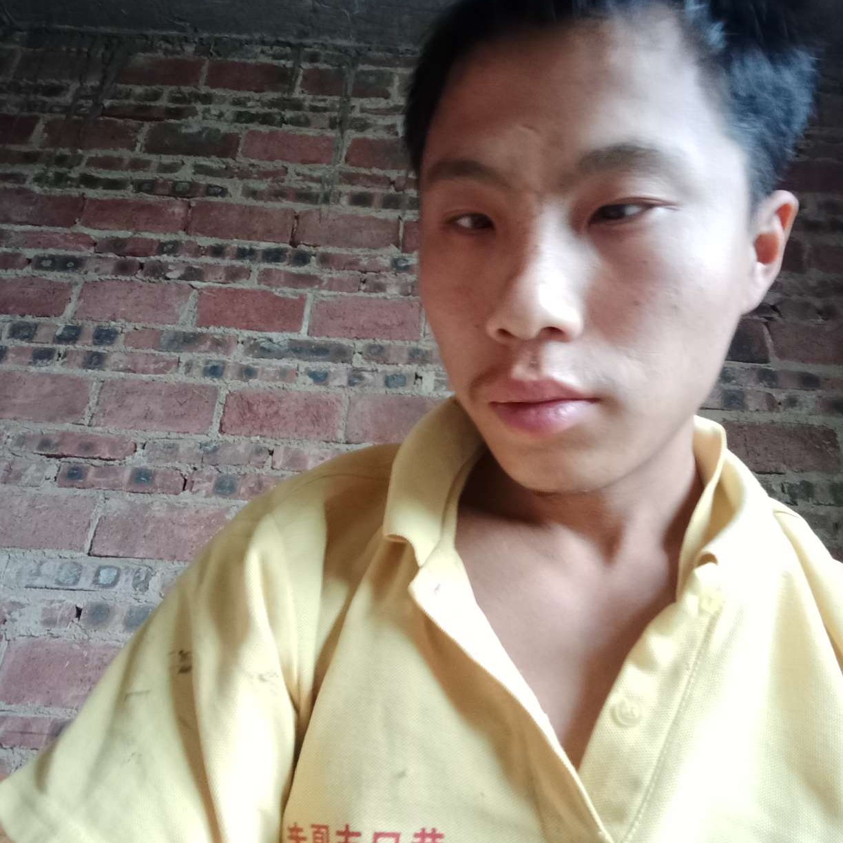 健忘浅吻灯泡的照片