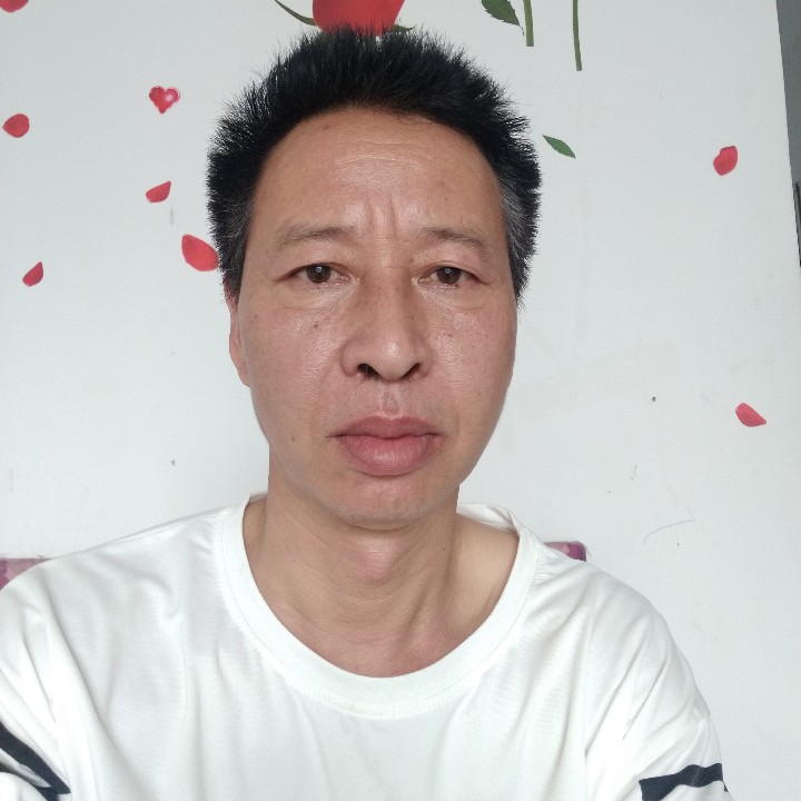 灰狼的坚定的照片