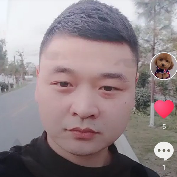 疯狂乌龟的照片