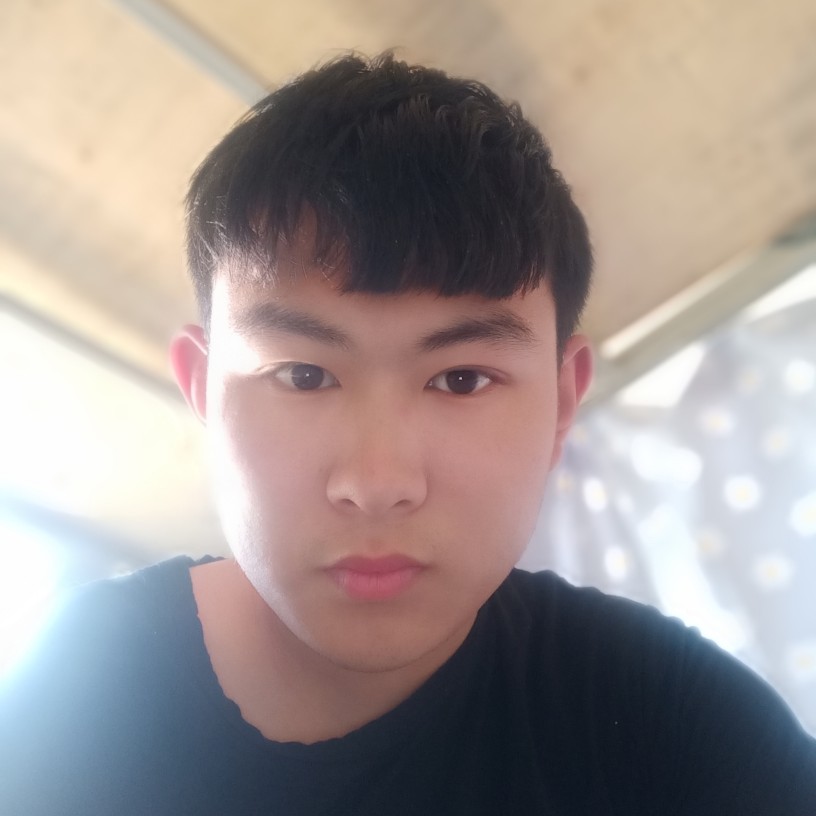 小海豚倾心糊涂的照片