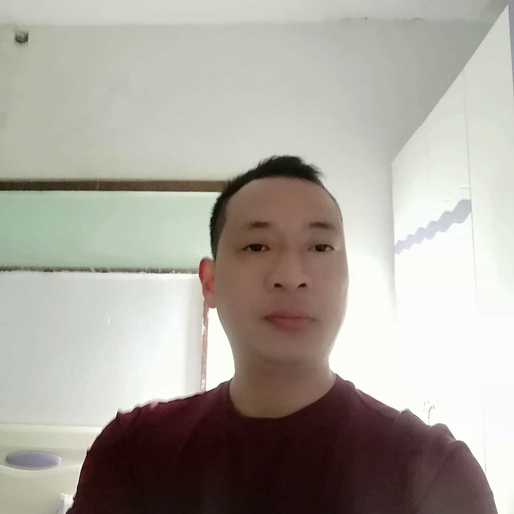 平淡多么大象的照片