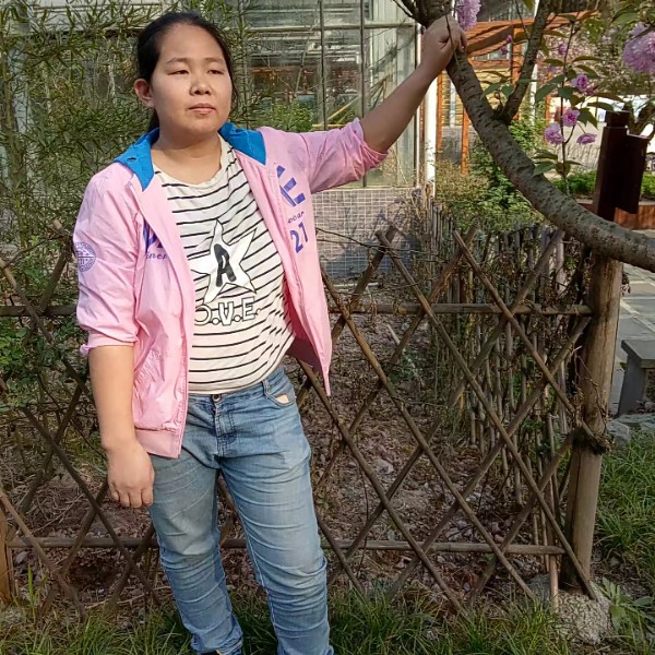 端庄发卡的照片