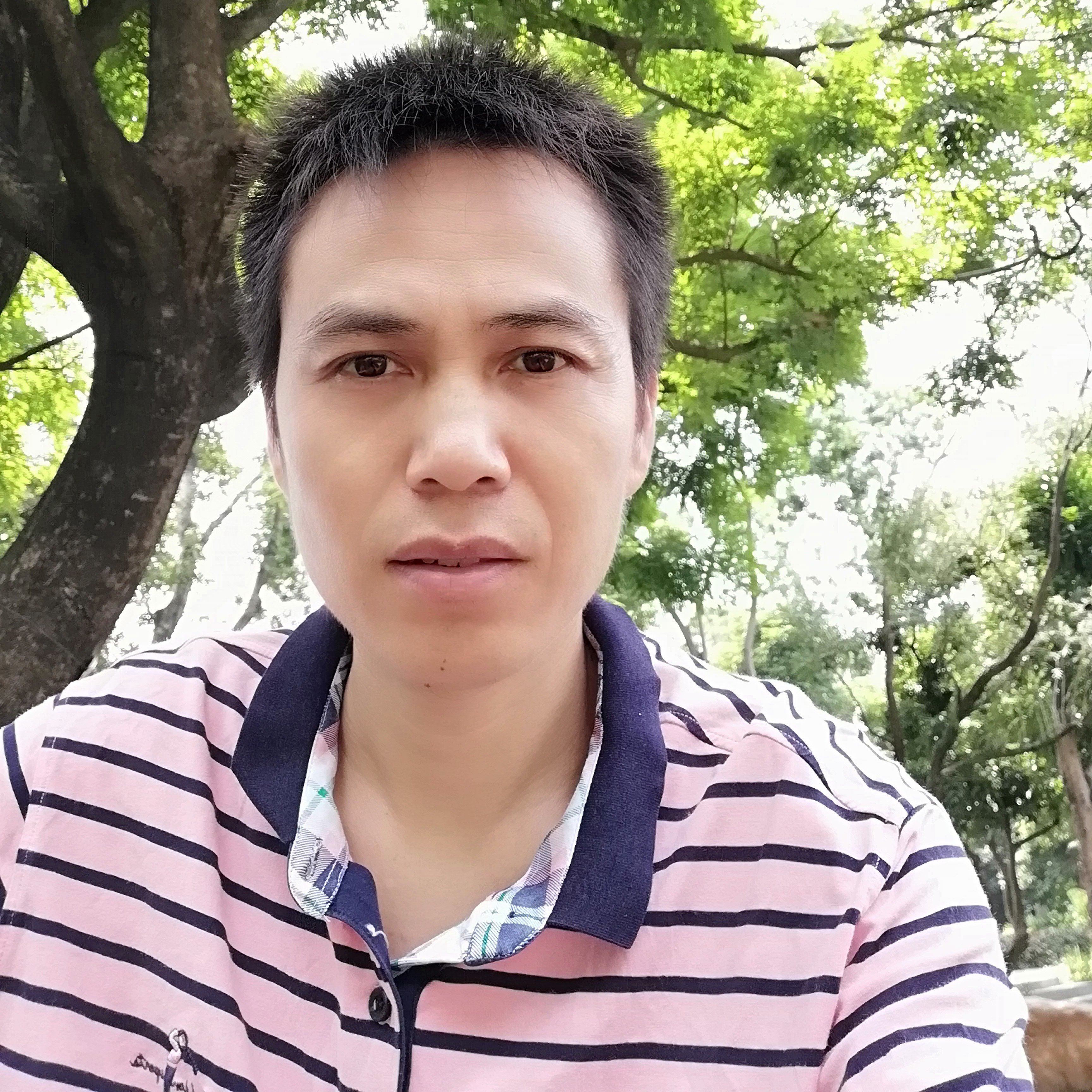 优美方自行车的照片
