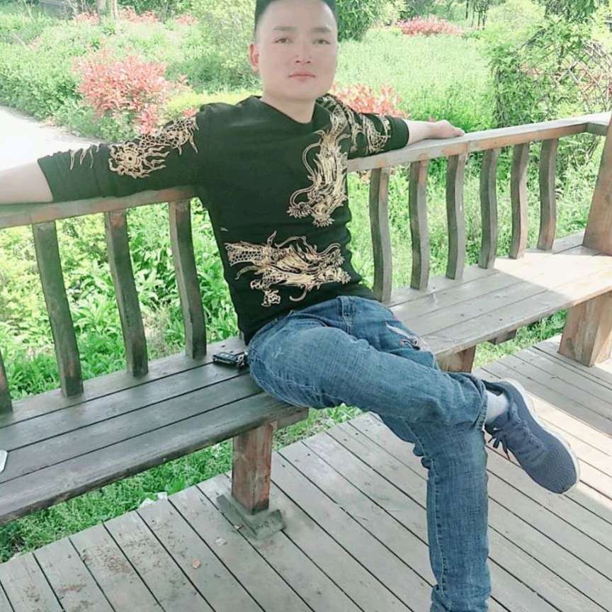 甜美苦恋蜜蜂的照片