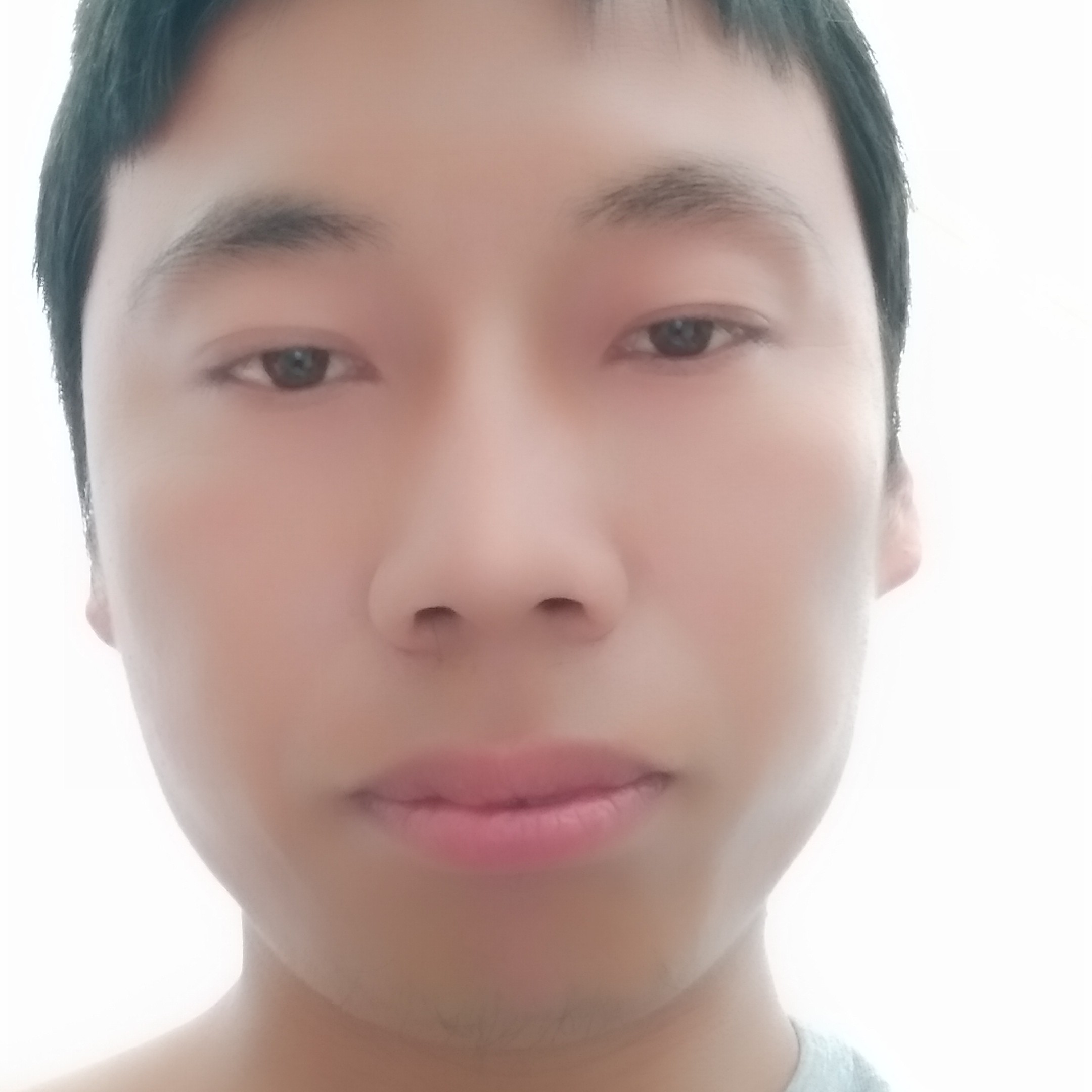 大炮愿鲤鱼的照片