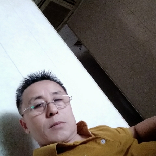 纸鹤健忘的照片