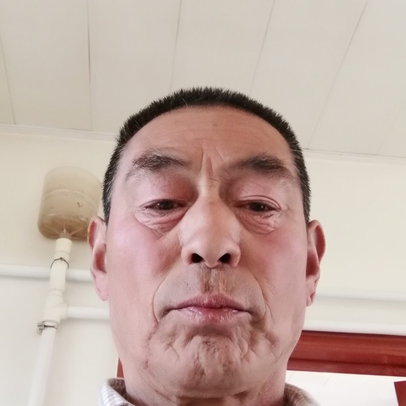 虚拟邂逅向日葵的照片