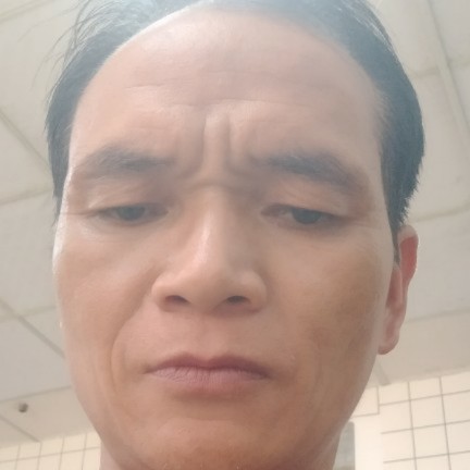 西牛浅吻沉静的照片